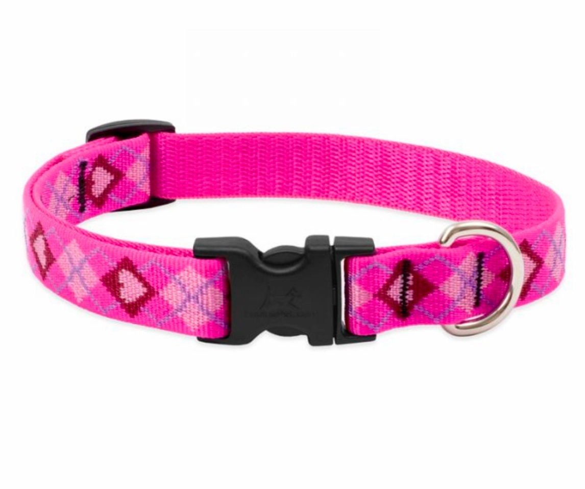 Lupine Original Collars