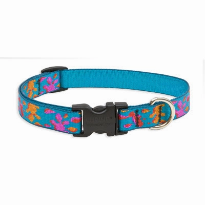 Lupine Original Collars