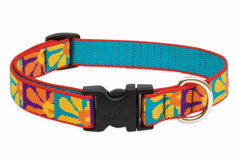Lupine Original Collars