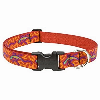 Lupine Original Collars