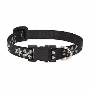 Lupine Original Collars