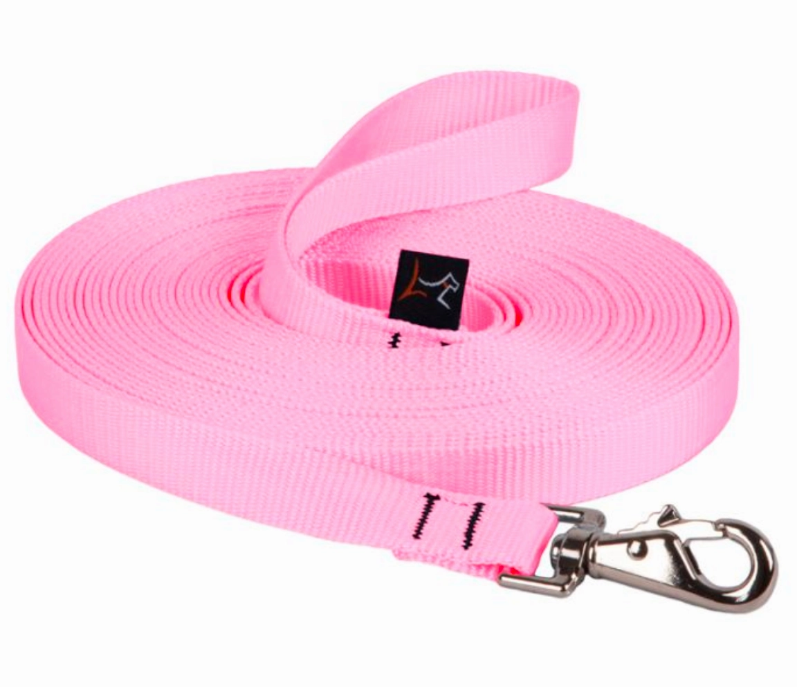 Lupine Training Lead
