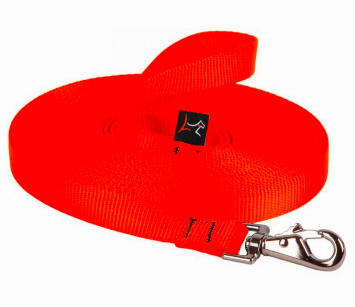Lupine Training Lead