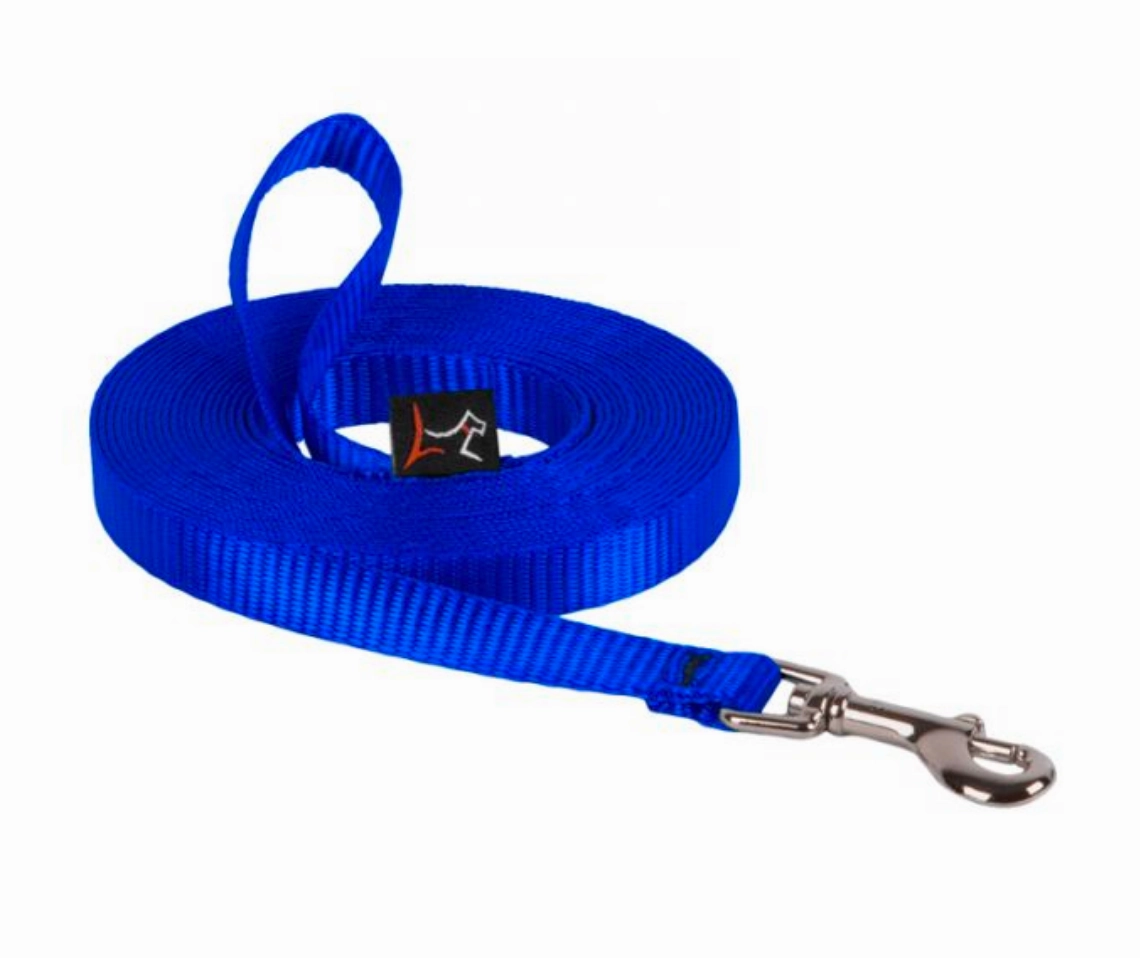 Lupine Training Lead