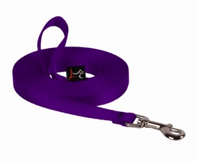 Lupine Training Lead