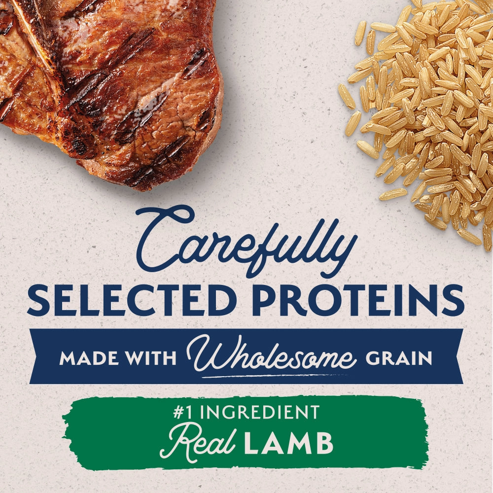 Natural Balance L.I.D. Limited Ingredient Diets Lamb & Brown Rice Formula Small Breed Bites Dry Dog Food