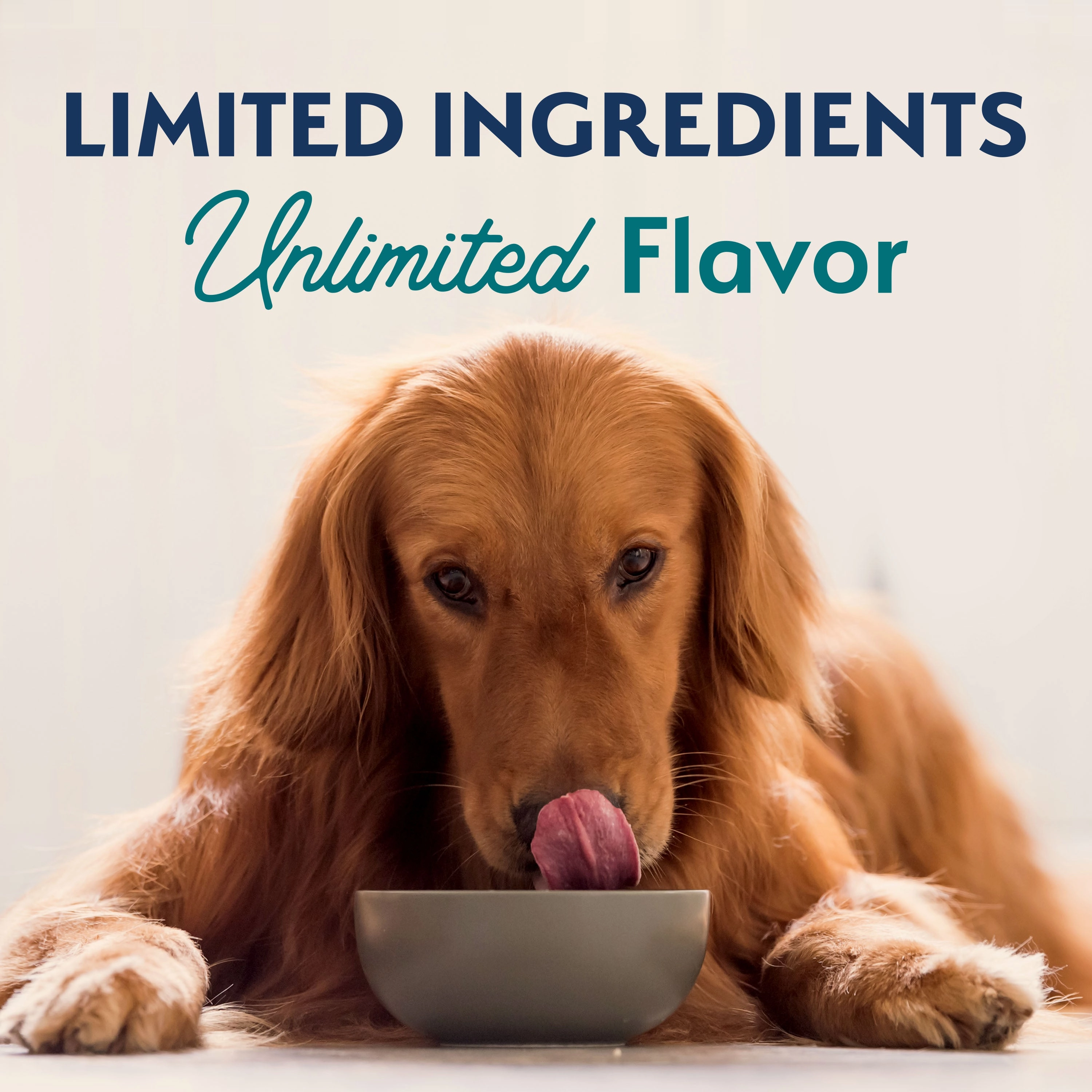 Natural Balance Limited Ingredient Chicken & Brown Rice Recipe Dog Dry