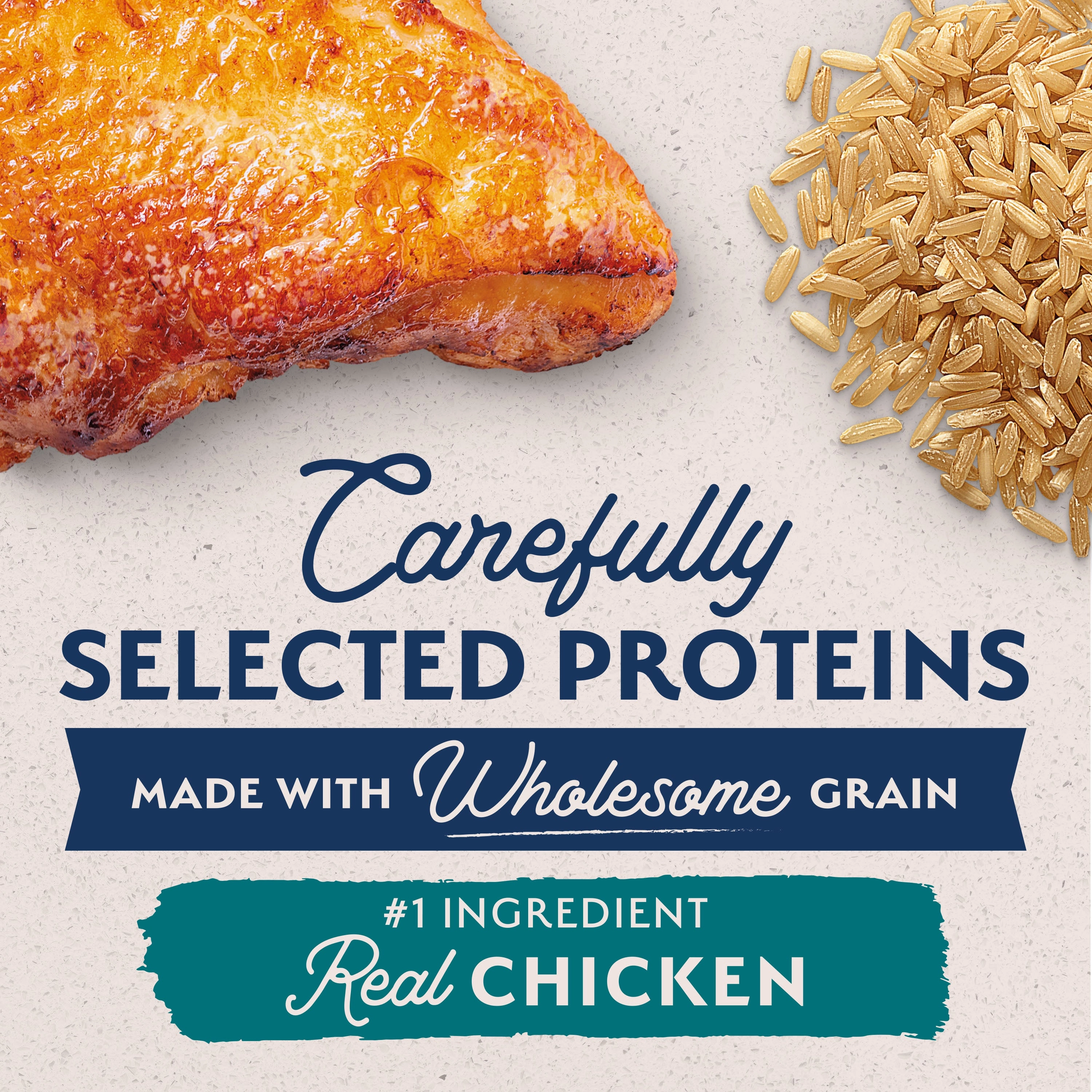 Natural Balance Limited Ingredient Chicken & Brown Rice Recipe Dog Dry