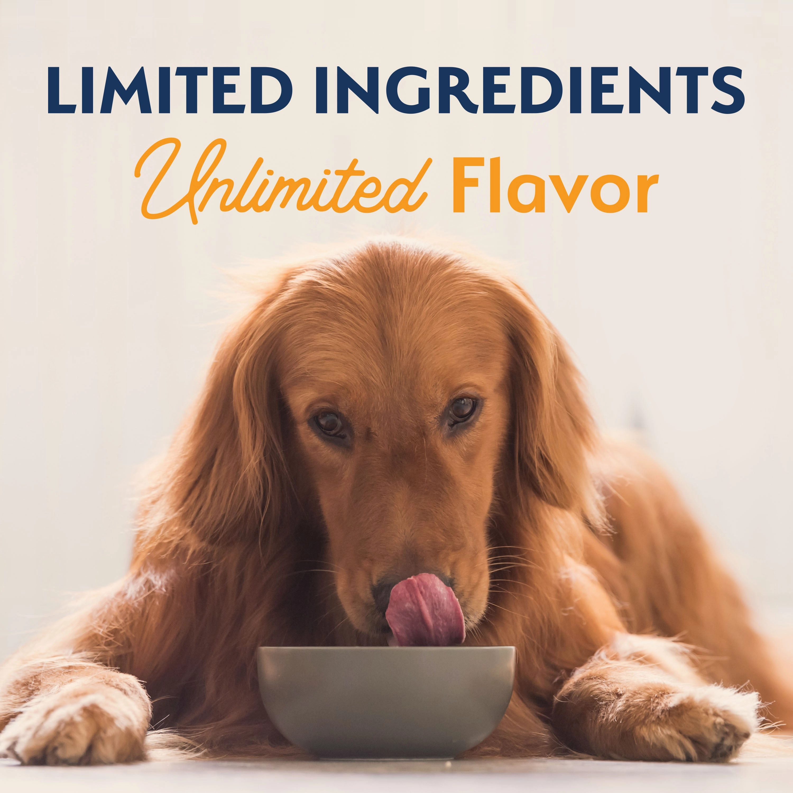 Natural Balance Limited Ingredient Grain Free Duck & Potato Recipe Dog Dry