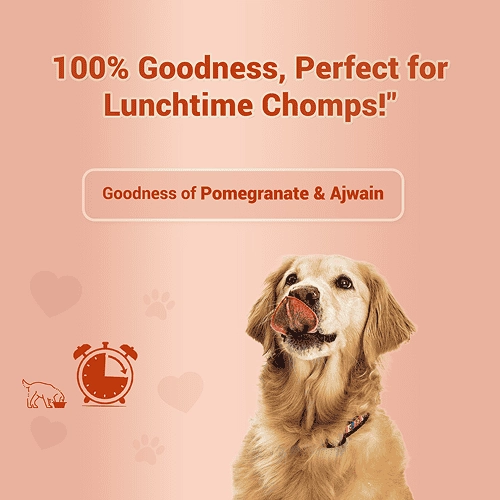 Natural Remedies Treat O'Clock Chicken and Egg Treats for Dogs