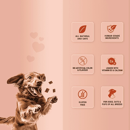 Natural Remedies Treat O'Clock Chicken and Egg Treats for Dogs