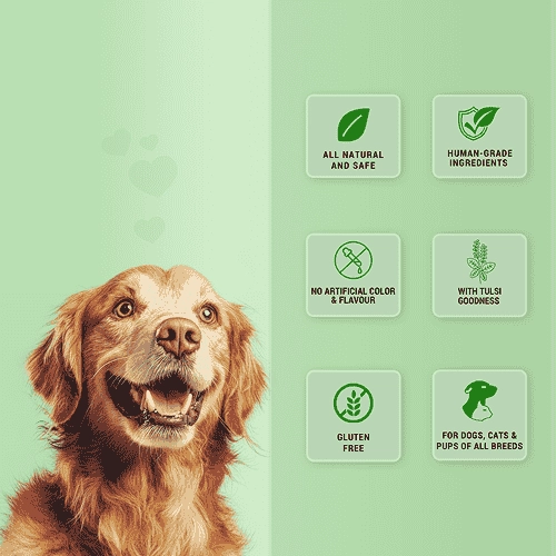 Natural Remedies Treat O'Clock Hemp with Chicken Meat Treats for Dogs