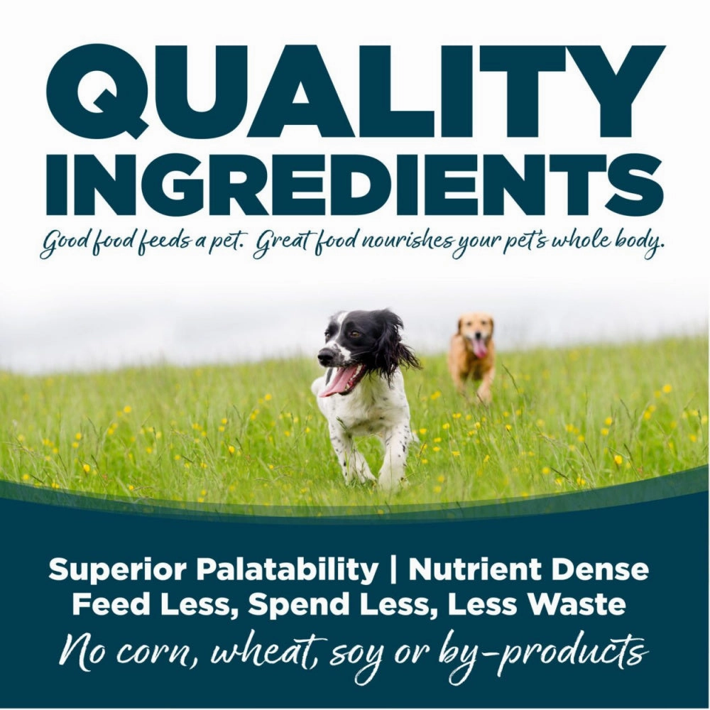NutriSource Small Bites Chicken & Rice Recipe Dry Dog Food