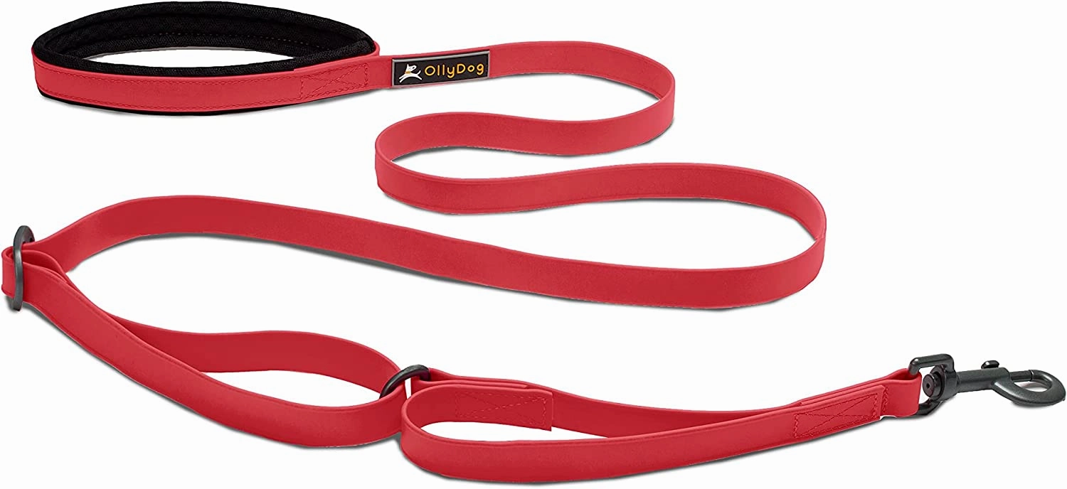 Olly Dog Urban Journey Adjustable Spring Leash
