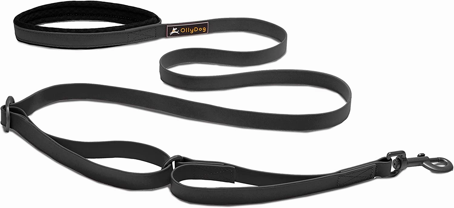 Olly Dog Urban Journey Adjustable Spring Leash