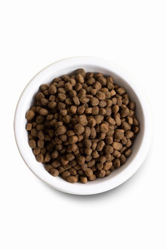 Open Farm Wild-Caught Salmon and Ancient Grains Dry Dog Food