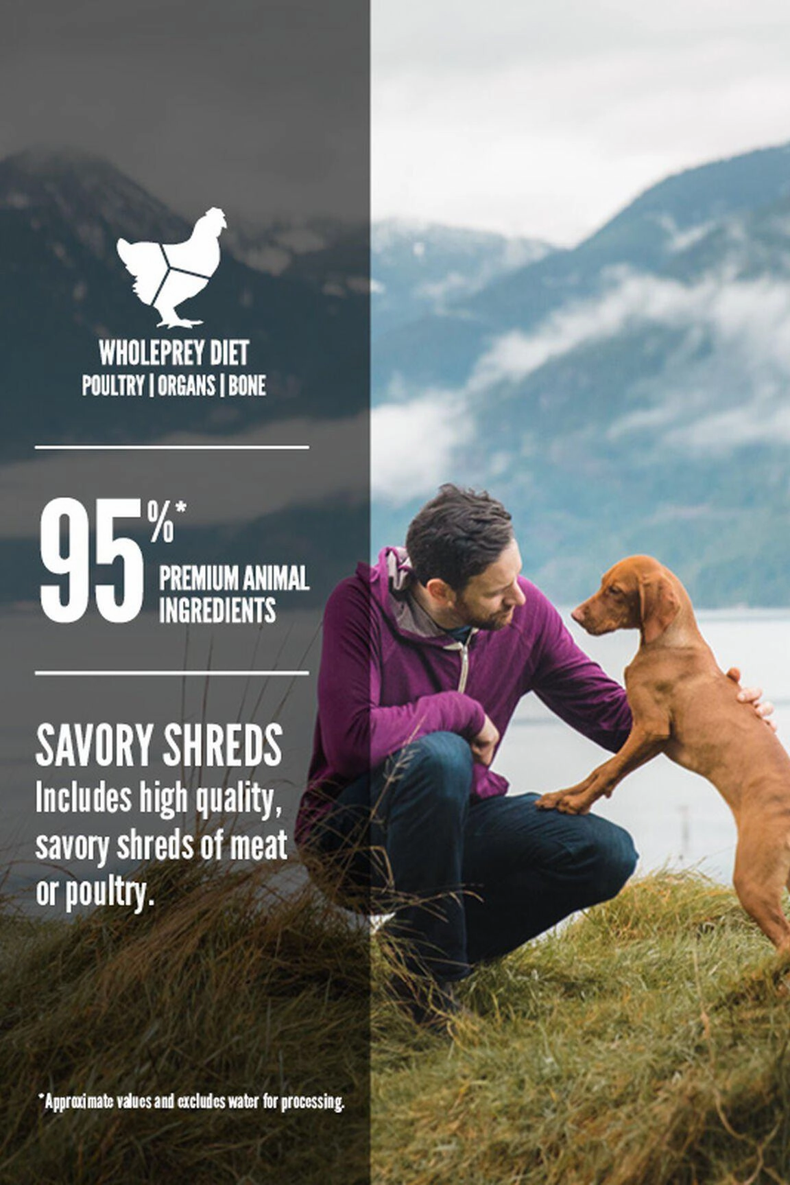 Orijen Chicken Recipe Stew Wet Dog Food