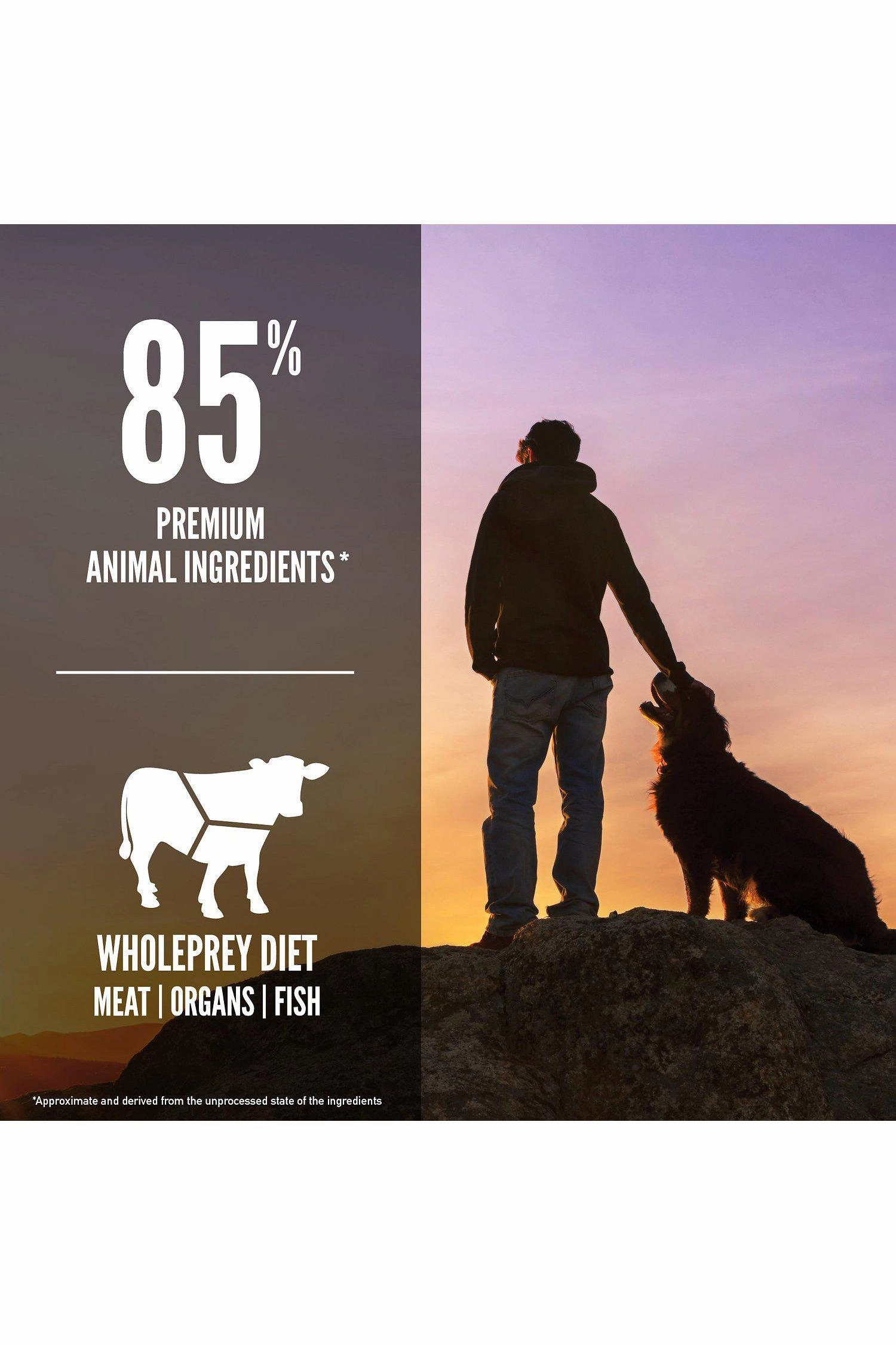 Orijen Regional Red Dry Dog Food