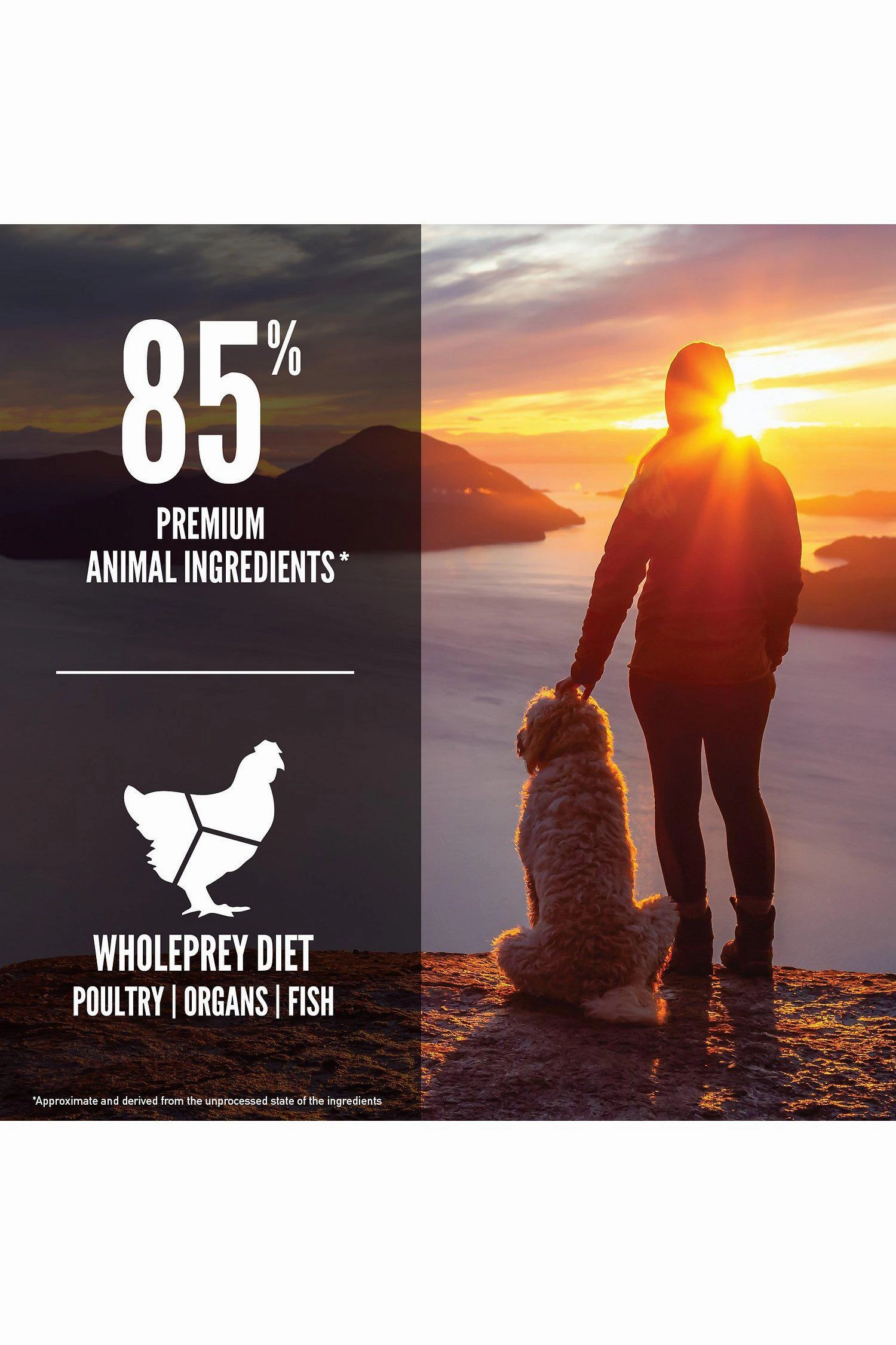 Orijen Senior Dry Dog Food