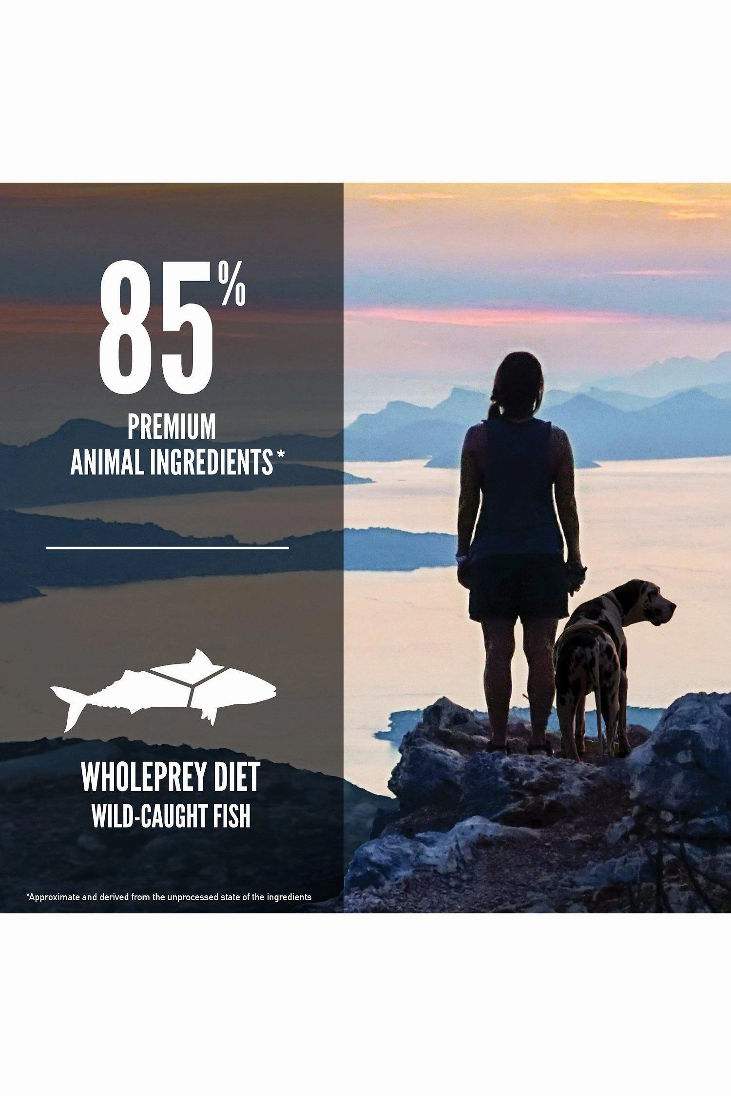Orijen Six Fish Dry Dog Food