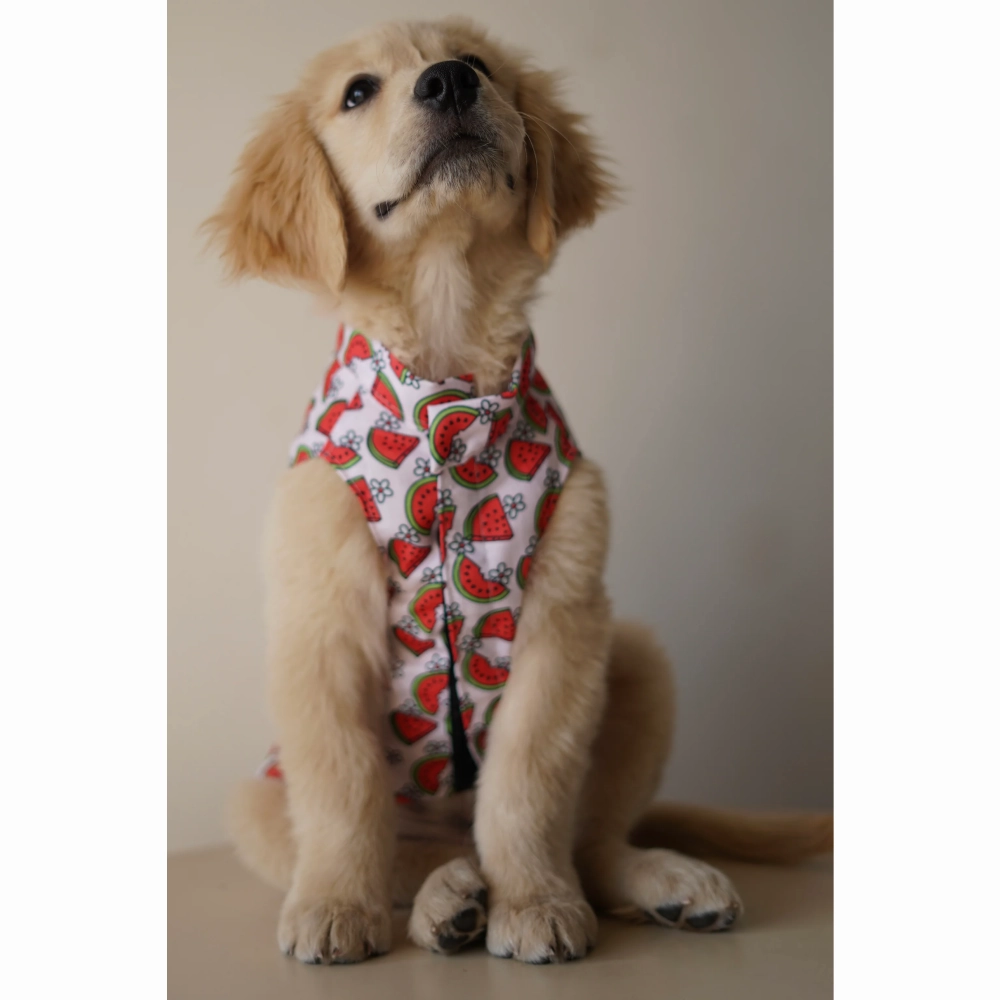 Pawgypets Daisy Melon Sando for Dogs (Pink)