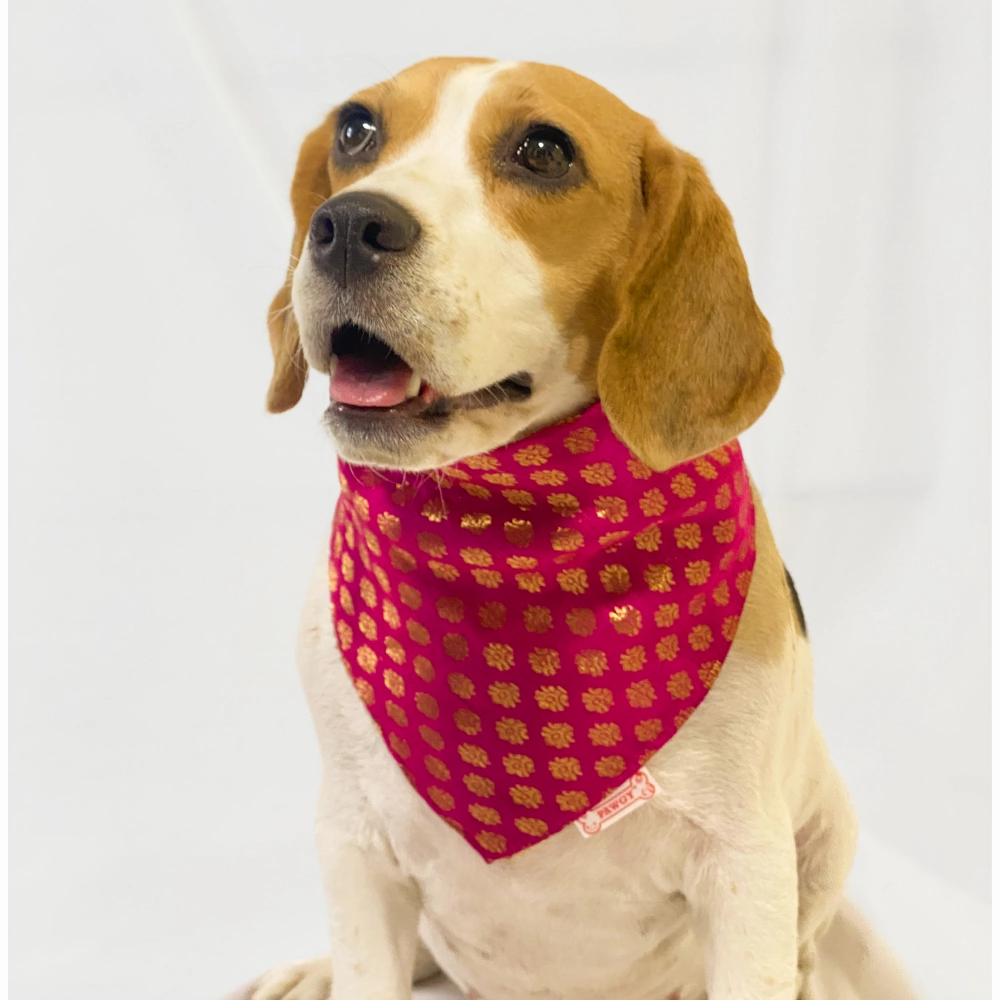 Pawgypets Occasion Wear Bandana for Dogs and Cats (Pink)