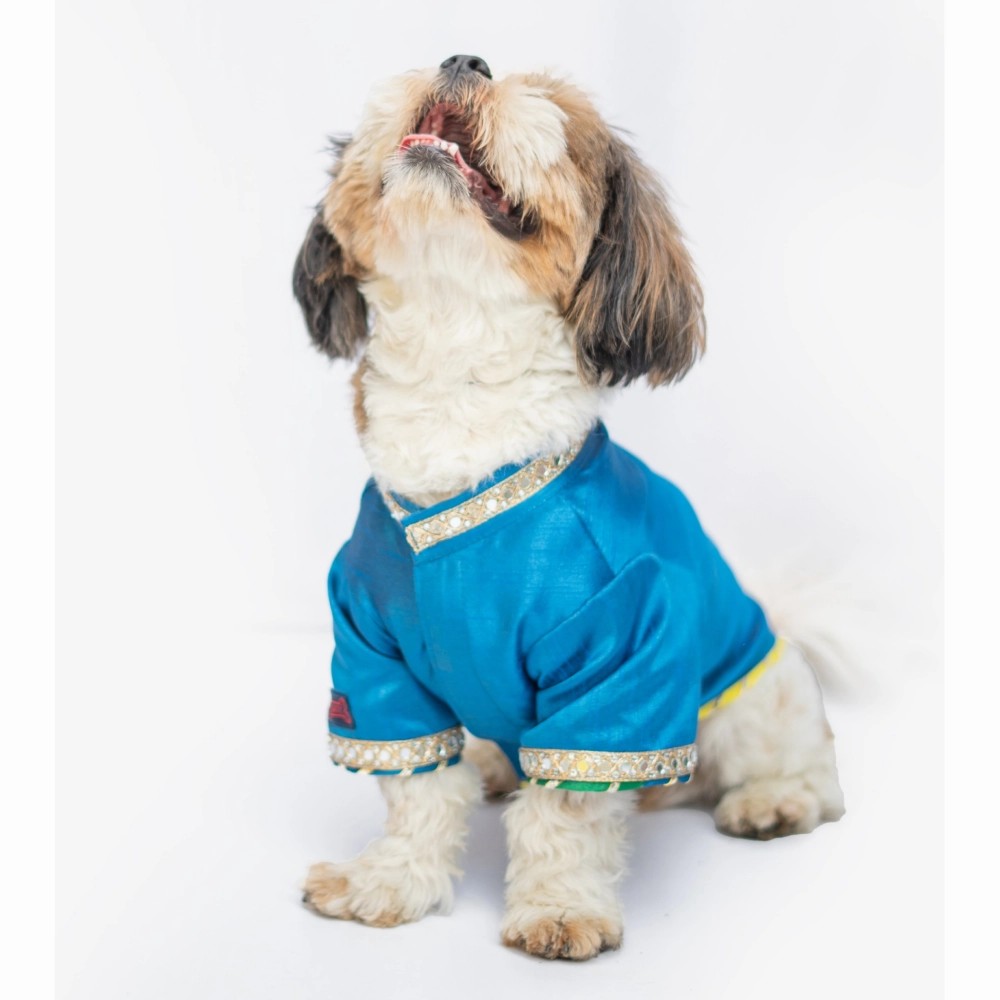 Pawgypets Raw Silk Sherwani for Dogs and Cats (Blue)