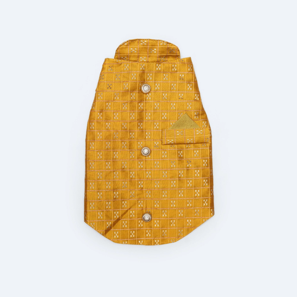 Pawgypets Strapy Sherwani for Dogs and Cats (Mustard)