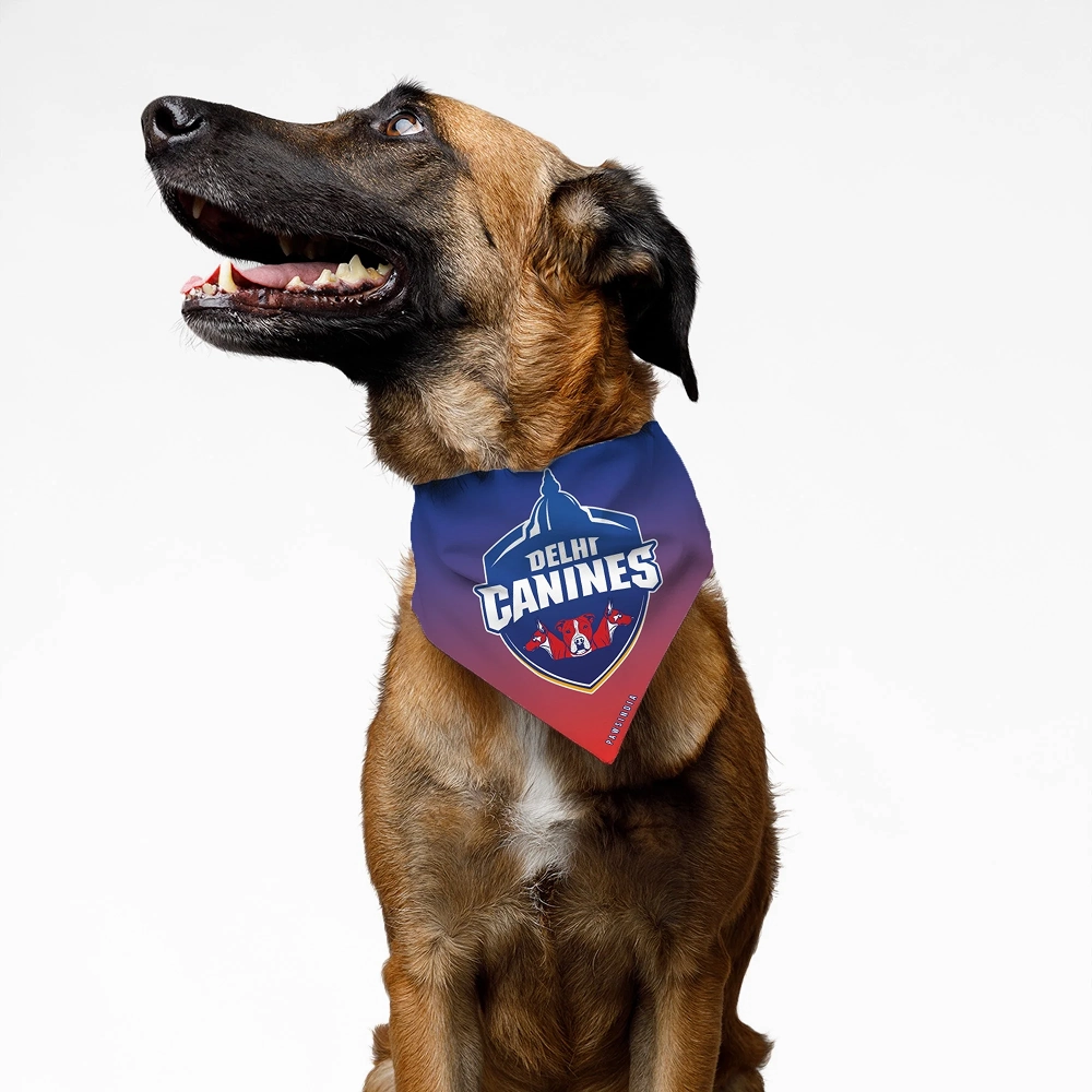 Pawsindia Delhi Canines ipl Bandana for Dogs