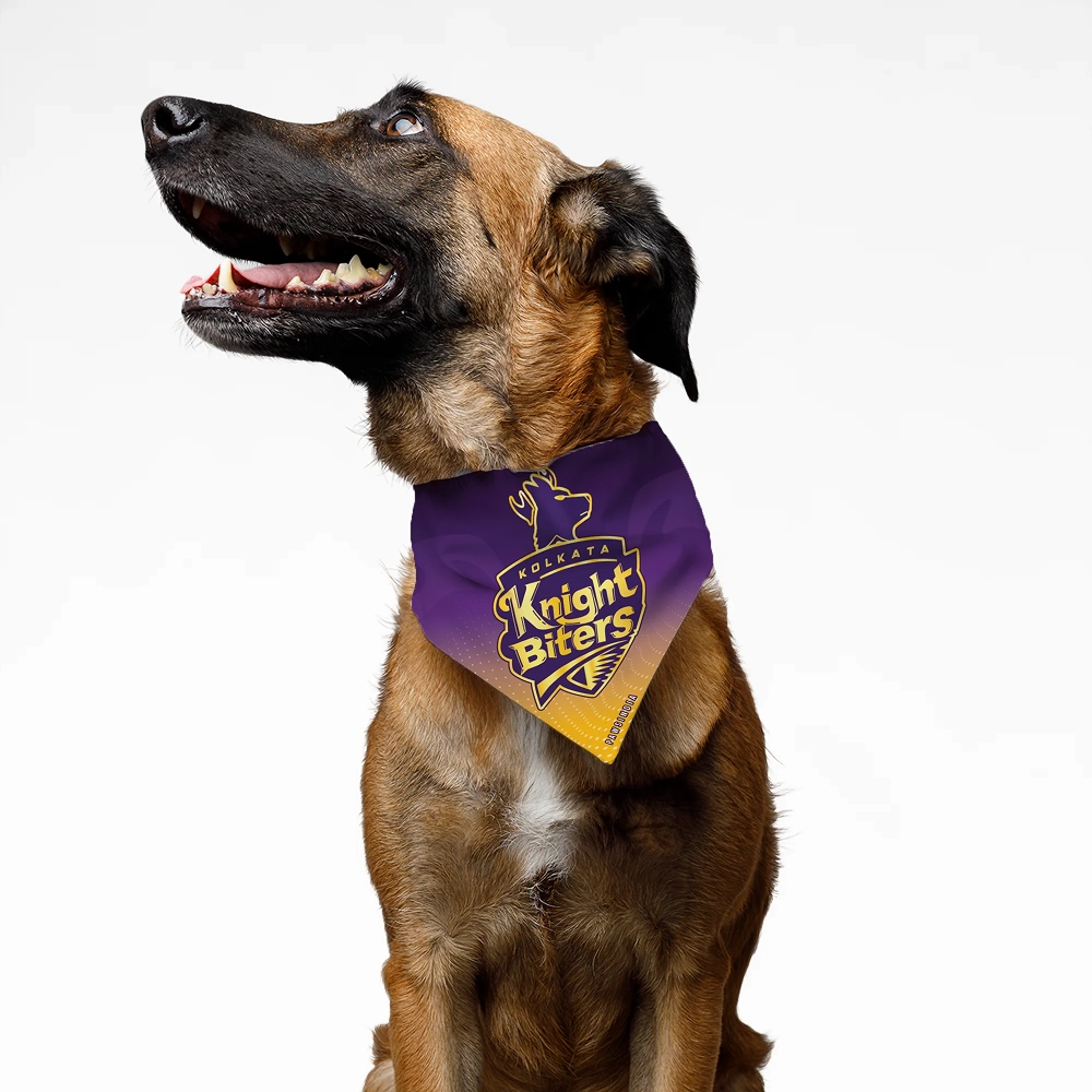 Pawsindia Kolkata Knight Biters ipl Bandana for Dogs