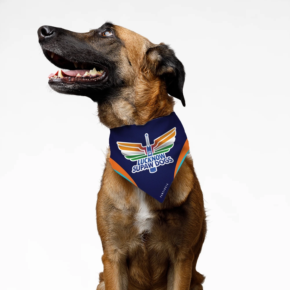 Pawsindia Lucknow Supaw Giants ipl Bandana for Dogs