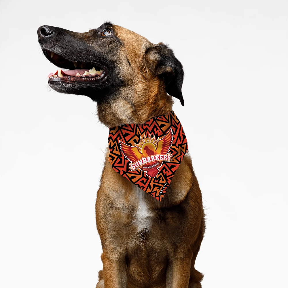 Pawsindia Sunbakers Hyderabad ipl Bandana for Dogs