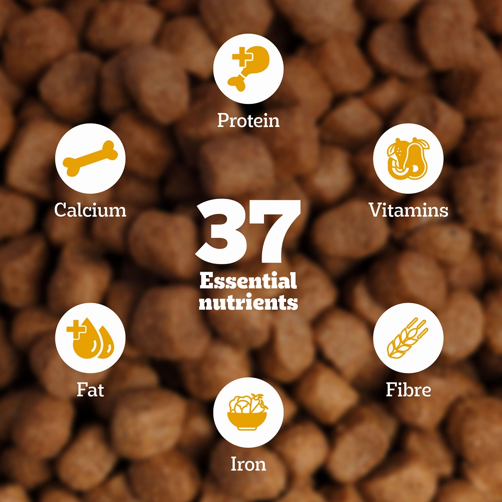 Pedigree Chicken, Egg and Rice Adult Dog Dry Food