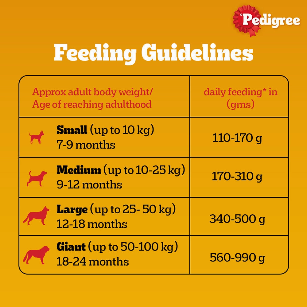 Pedigree Meat & Rice and Chicken and Liver Chunks in Gravy Adult Dry and Wet Food Combo