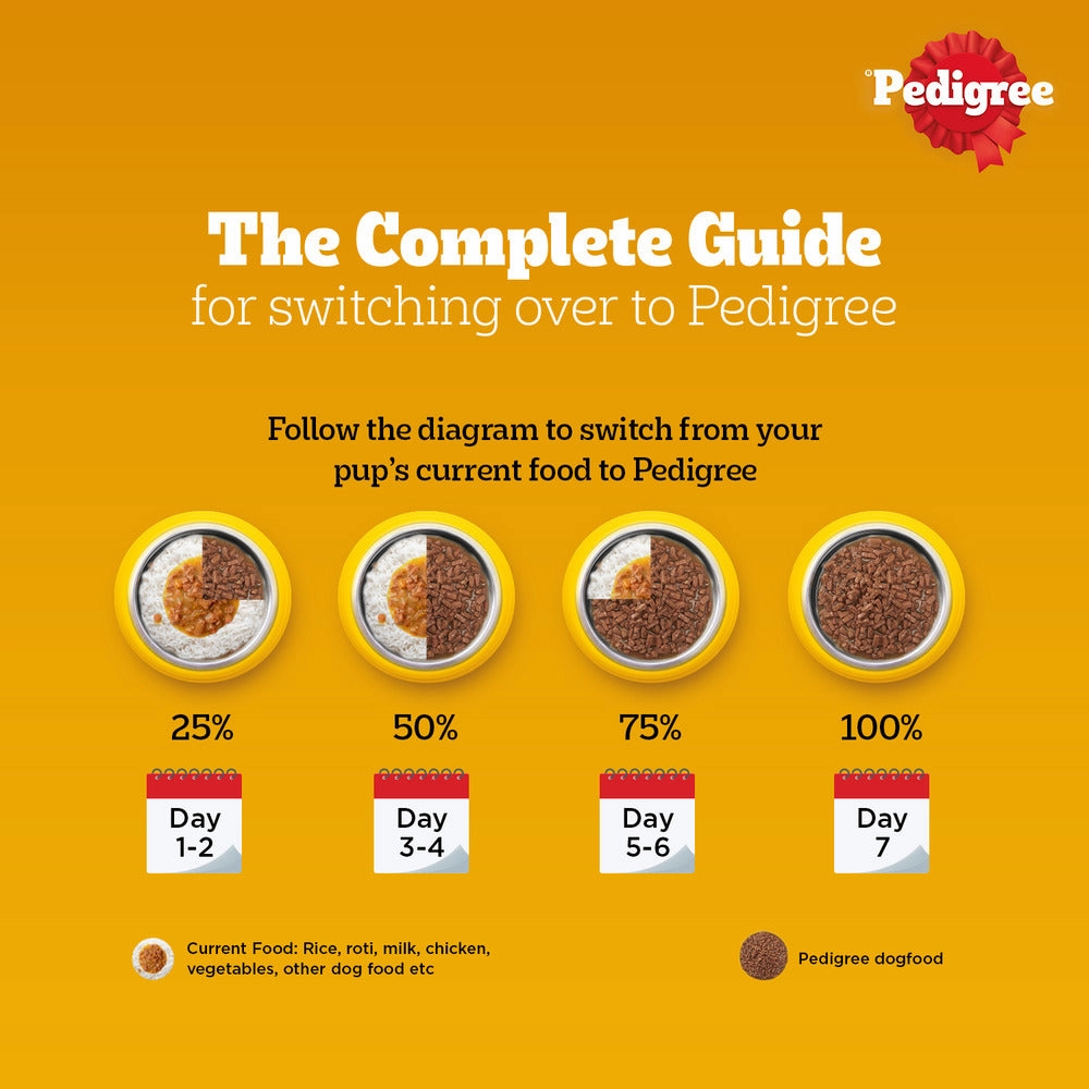 Pedigree PRO Active Adult Large Breed Dry Food, Pedigree Chicken Liver Gravy Dogs Wet Food Combo