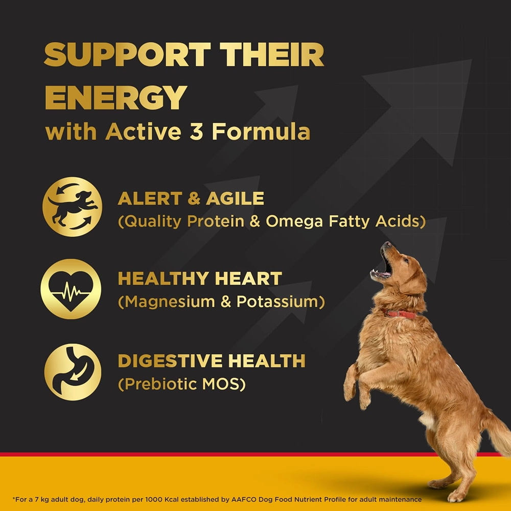 Pedigree PRO Active Adult Large Breed Dry Food, Pedigree Chicken Liver Gravy Dogs Wet Food Combo