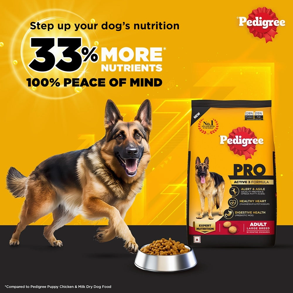 Pedigree PRO Expert Nutrition Active Adult (18 Months Onwards) Large Breed and Chicken and Liver Chunks in Gravy Wet Adult Dog Food Combo