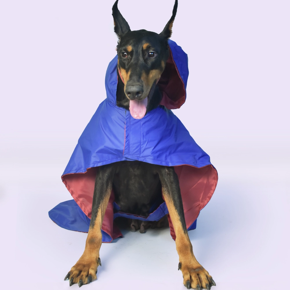 Pet Set Go Cape Style Raincoat for Dogs (Blue)