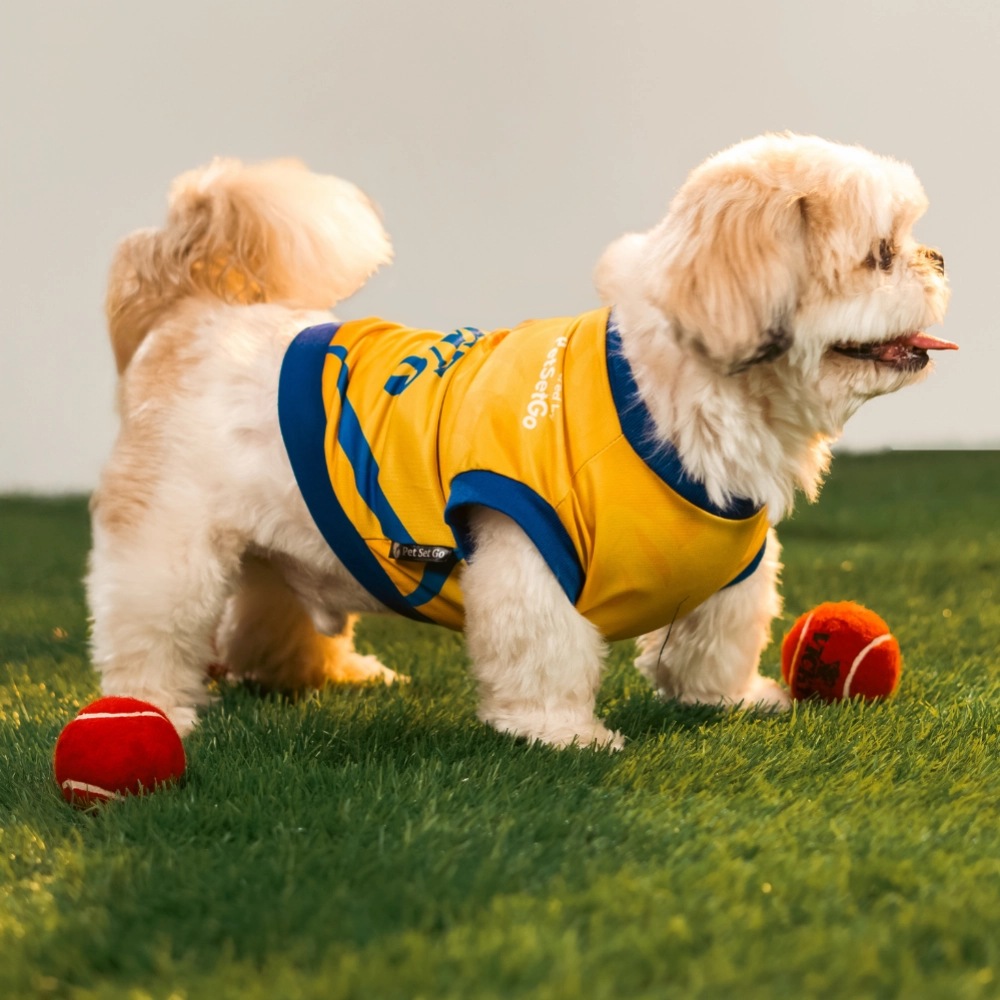 Pet Set Go Chennai Super Paws IPL Jersey for Dogs (Yellow)