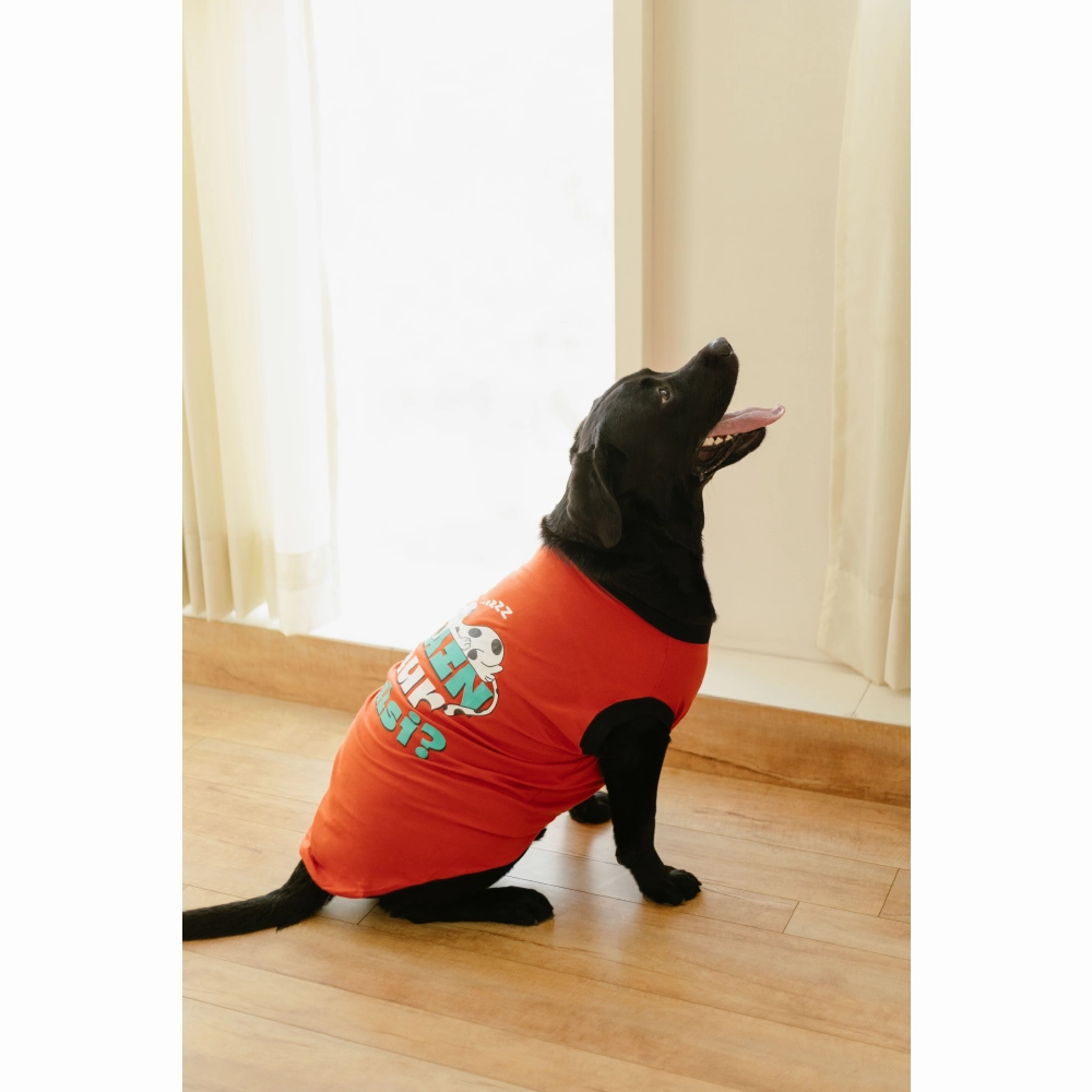 Pet Set Go Main Aur Aalsi T-shirt for Dog (Red)