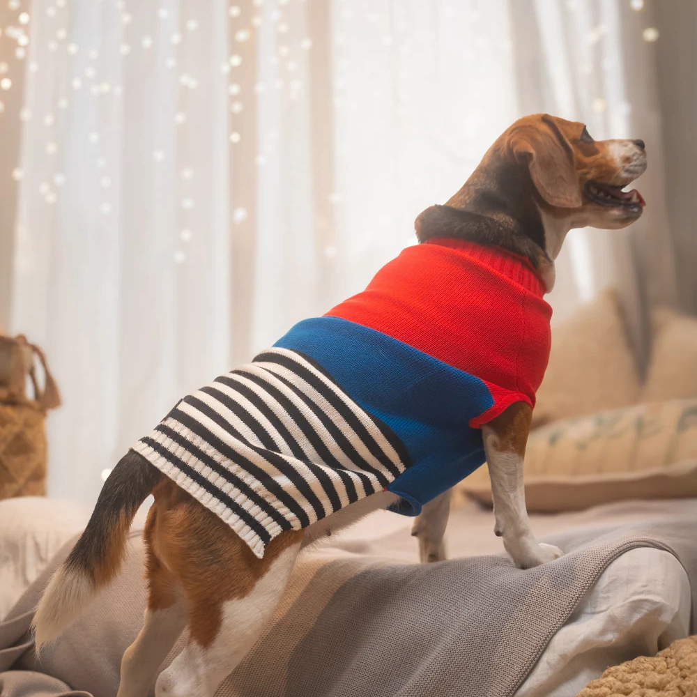 Pet Set Go Striped Sweater for Dogs (Red/Blue)