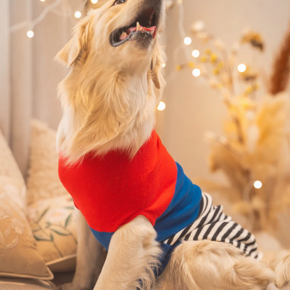 Pet Set Go Striped Sweater for Dogs (Red/Blue)