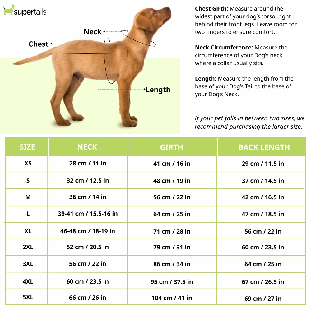 Pets Way Style 2 Republic Day T Shirt for Dogs