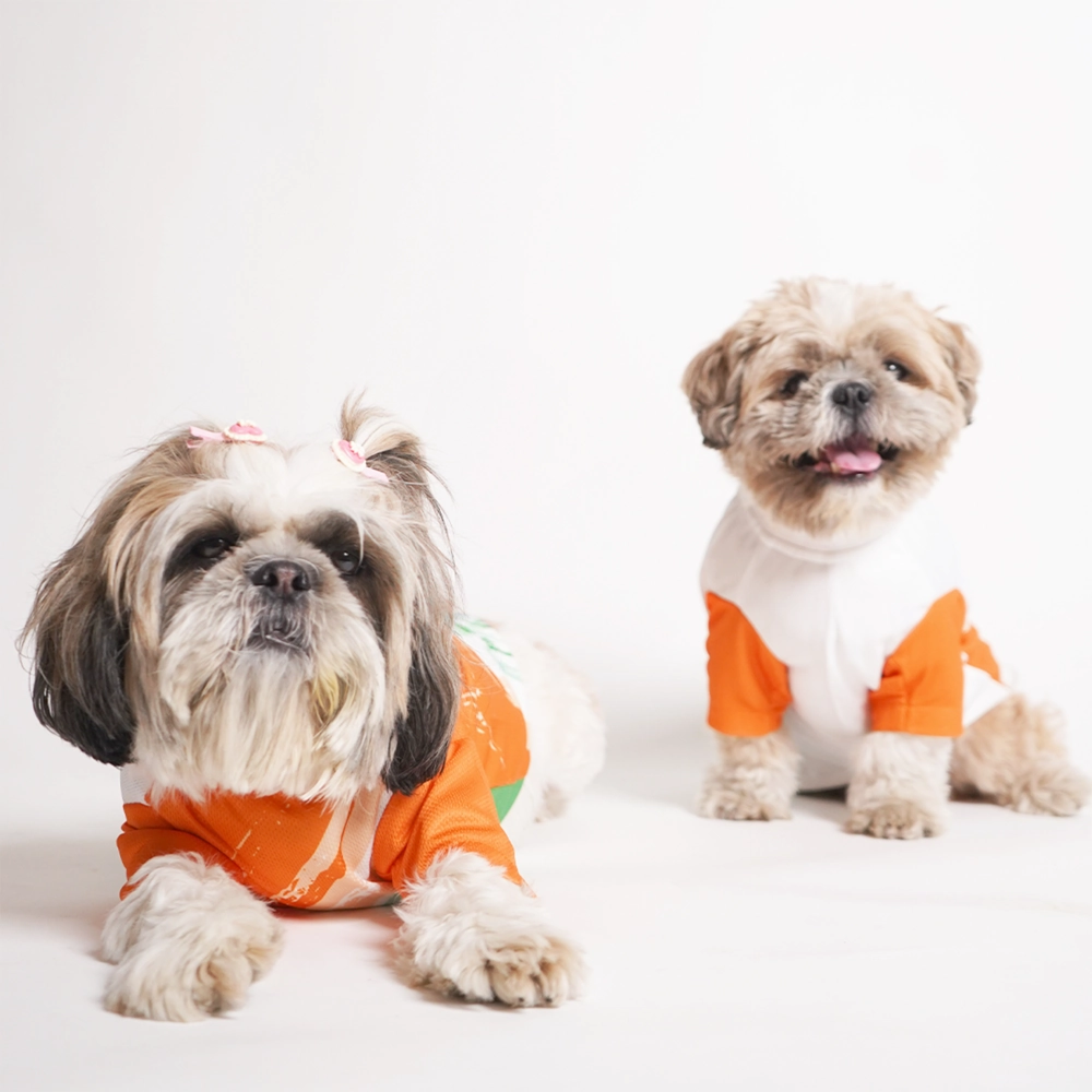 Pets Way Style 2 Republic Day T Shirt for Dogs