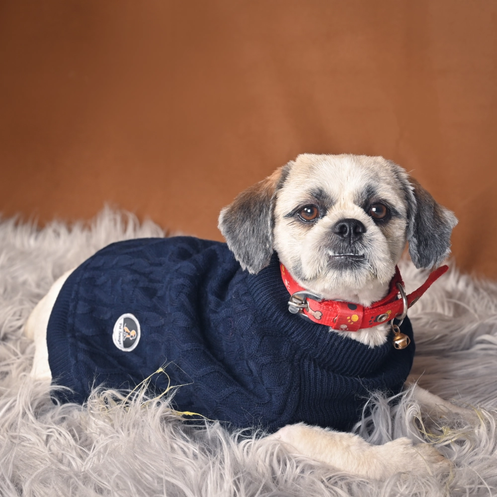 Petsnugs Cable Knit Sweater for Dogs and Cats (Navy Blue)