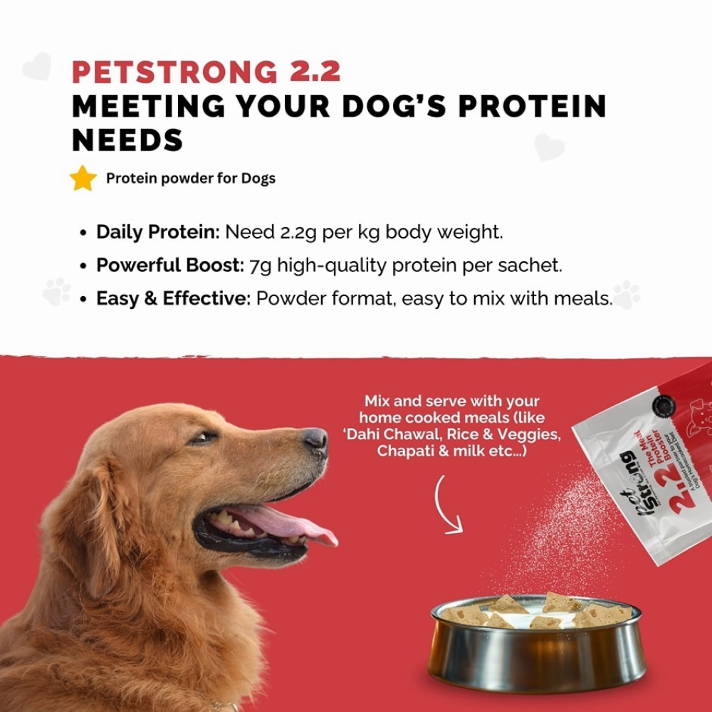 PetStrong Chicken and Rice Fresh Food and 2.2  Meal Protein Booster for Dogs Combo