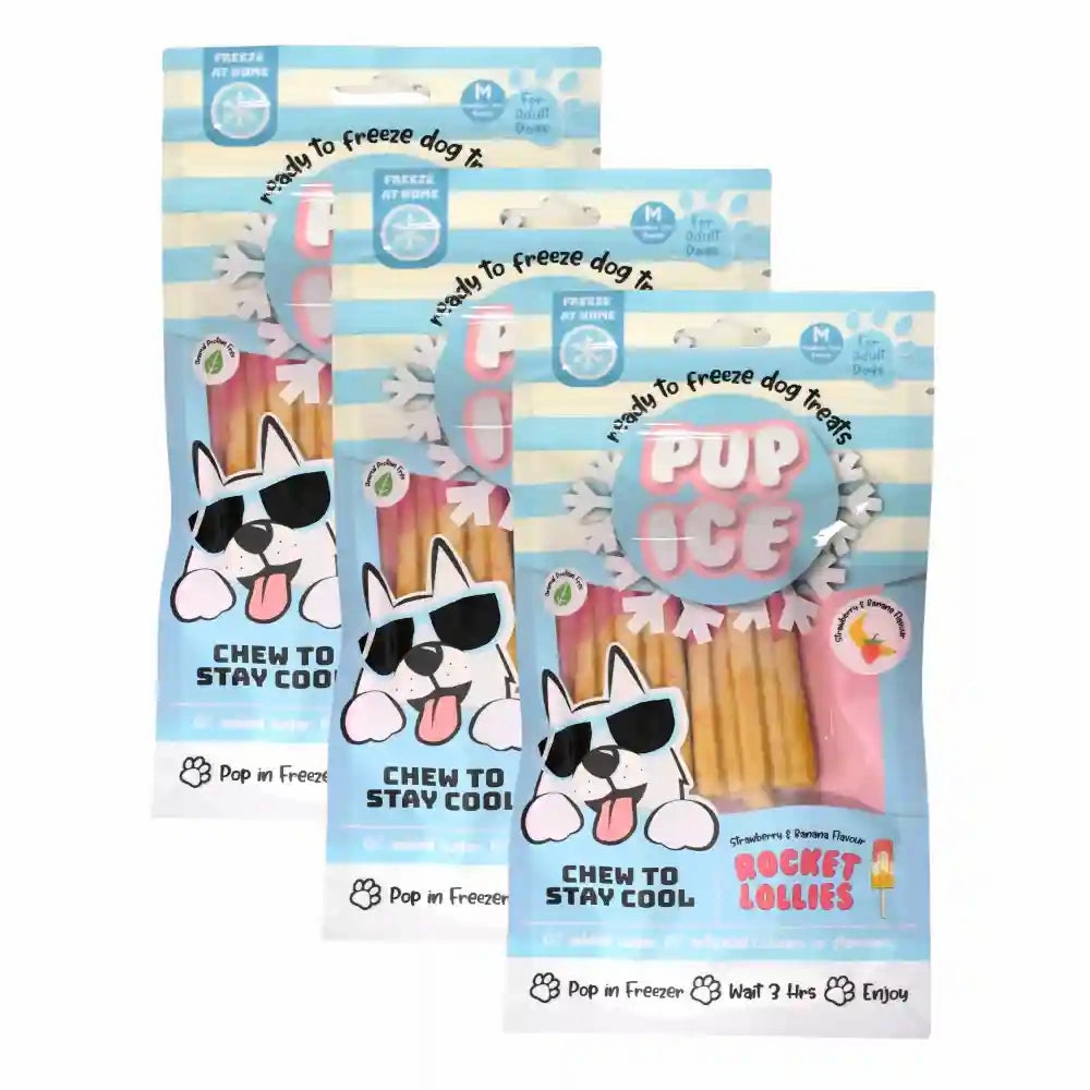 Pup Ice Meat Free Strawberry and Banana Flavoured Rocket Lollies Dog Treat