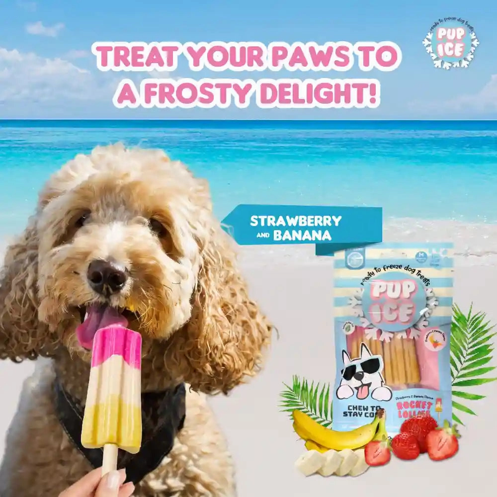 Pup Ice Meat Free Strawberry and Banana Flavoured Rocket Lollies Dog Treat