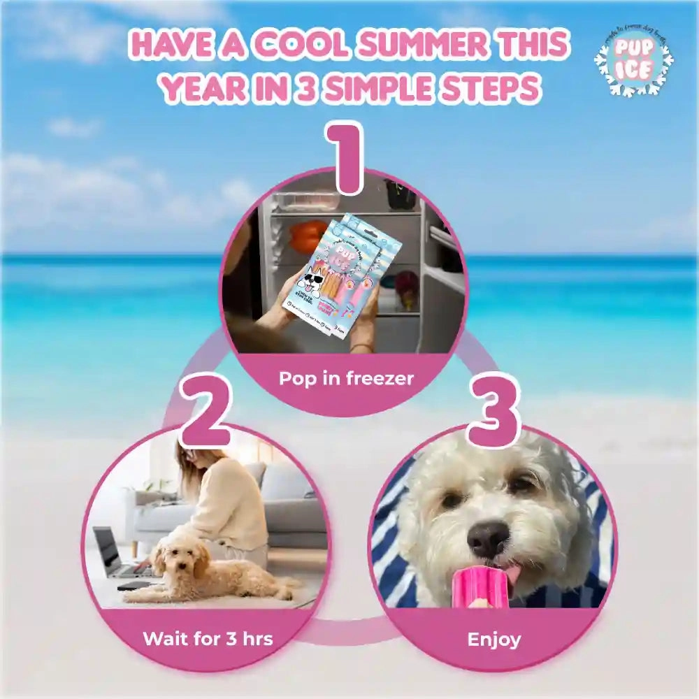 Pup Ice Meat Free Strawberry and Banana Flavoured Rocket Lollies Dog Treat