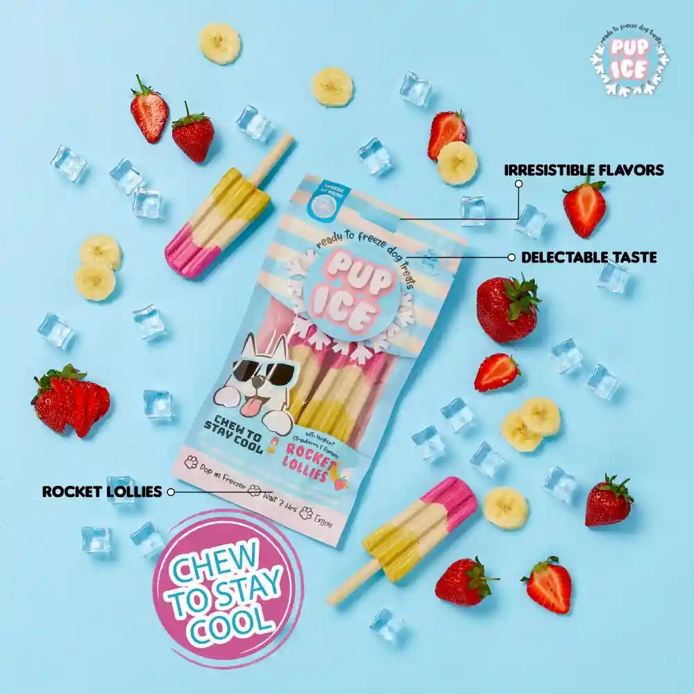 Pup Ice Strawberry and Banana Flavoured Rocket Lollies Dog Treat